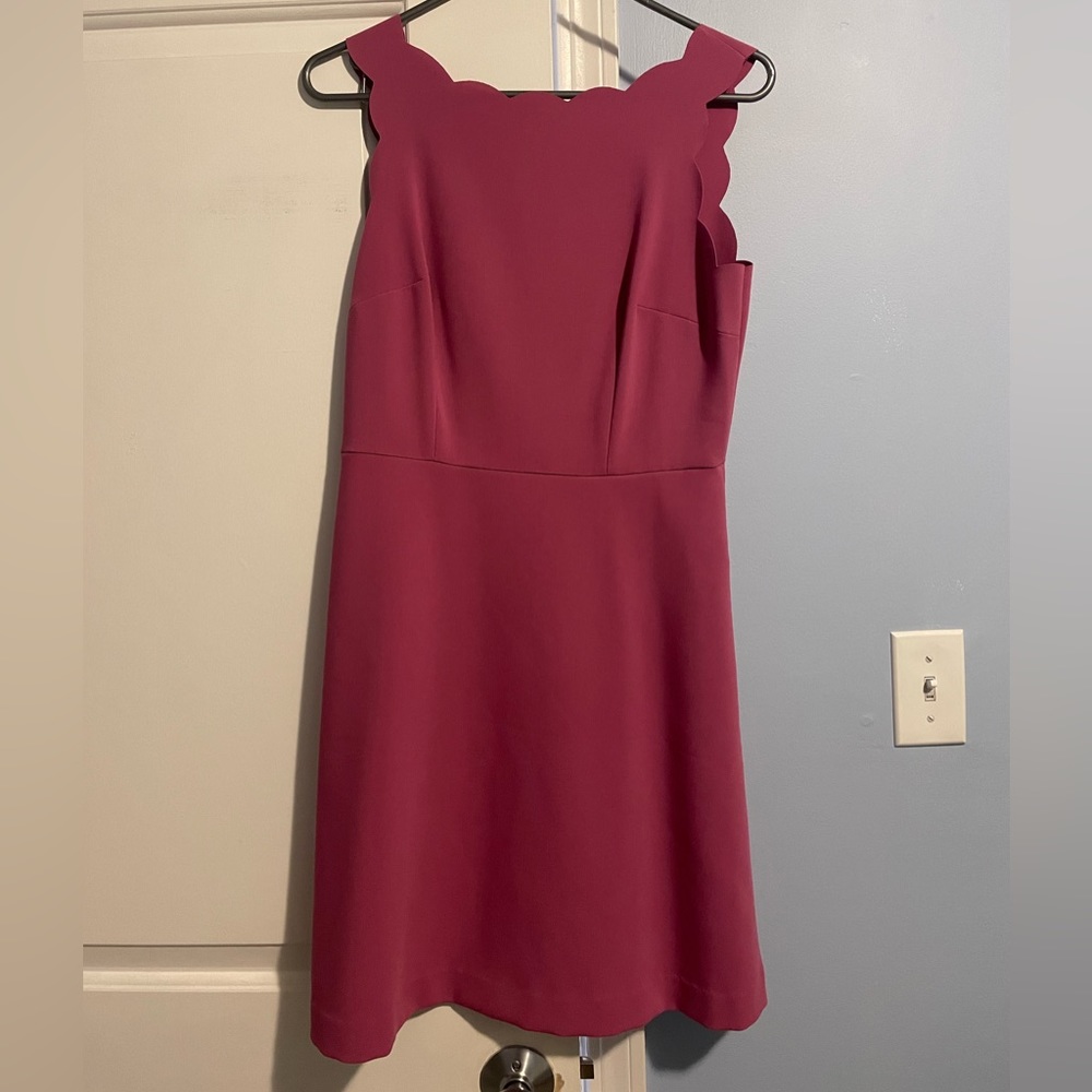 Dark Pink Loft A-Line dress